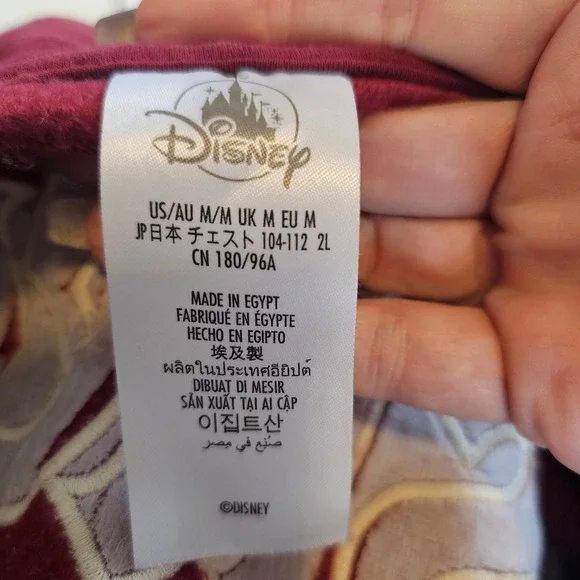 Disneyland park exclusive medium zip up hoodie burgundy - Picture 5 of 6
